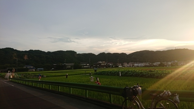DSC_0480.JPG